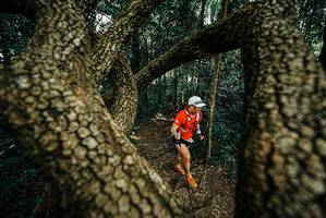 BIB: 
                            <button type="button" onclick="openModal(25669698)" class="btn btn-primary btn-sm float-right btn-popup" data-toggle="modal" data-target=".modal-high-quality">
                        <i class="fas fa-shopping-cart"></i> Add to Cart
                    </button>
                                            <button type="button" onclick="isThisMe(25669698, true)" class="btn btn-success btn-sm float-right btn-popup btn-isme hidden" data-toggle="tooltip" data-placement="bottom" title="นี่คือรูปของคุณใช่ไหม คลิกที่นี่เพื่อเอาเข้าอัลบั้ม">
                        <i class="fas fa-plus"></i> Add to album
                    </button>
                    <button type="button" onclick="isThisMe(25669698, false)" class="btn btn-warning btn-sm float-right btn-popup btn-isnotme hidden">
                        <i class="fas fa-ban"></i> Remove from album
                    </button>